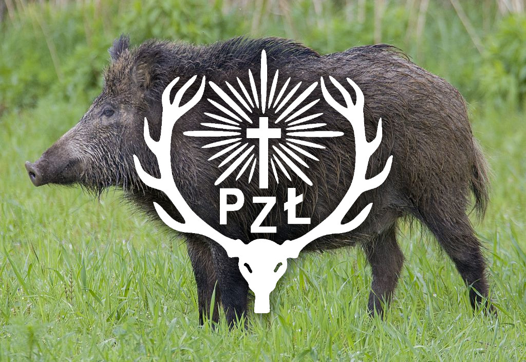 Terminy polowań na zwierzynę